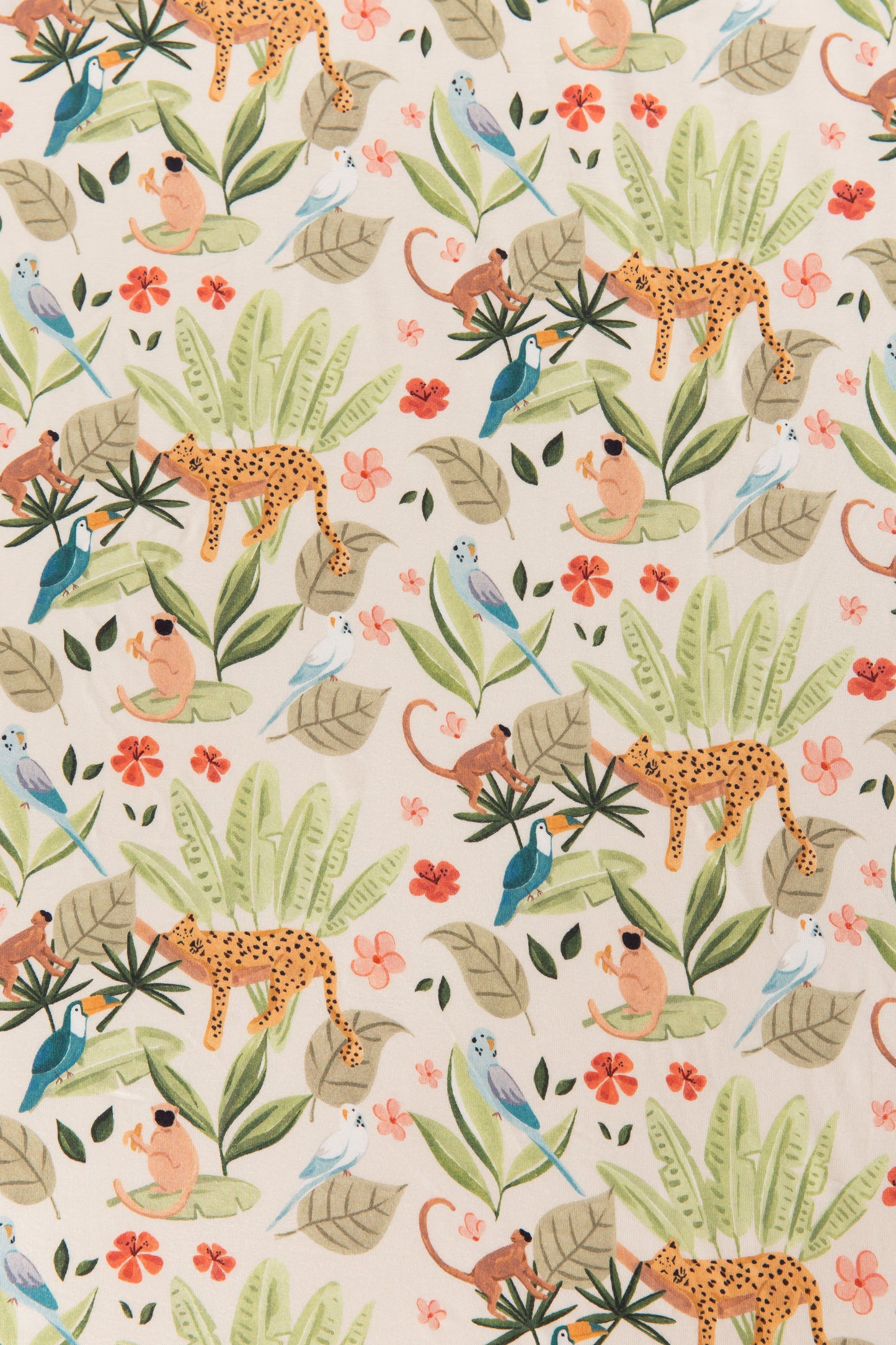 COT SHEET - KING OF THE JUNGLE