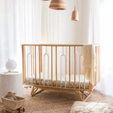 COT SHEET - KING OF THE JUNGLE